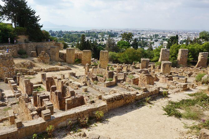 Guided Bike Tour of Carthage Archeological Site in Tunisia - Who Would Enjoy This Tour?