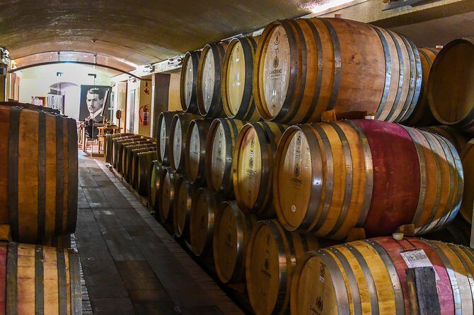 Guided Bike Tour of Stellenbosch - Who Is This Tour Best For?