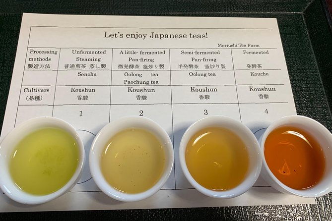 guided-bike-tour-to-a-green-tea-farm-in-shizuoka-not-e-bikes