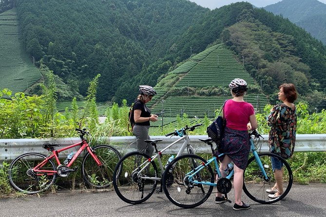 guided-bike-tour-to-a-green-tea-farm-in-shizuoka-not-e-bikes