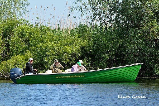guided-birdwatching-day-trip-to-the-danube-delta-private-program