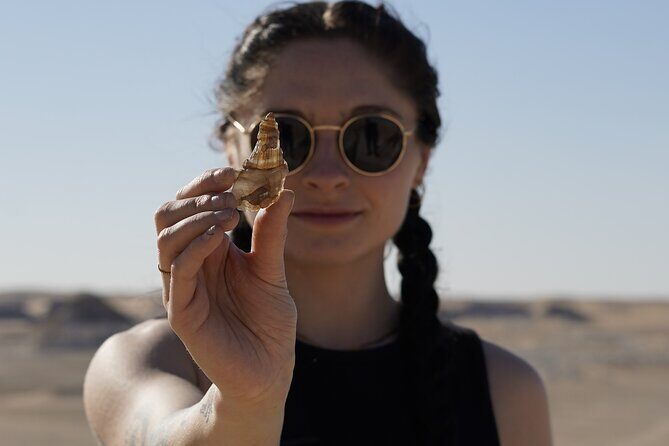 Guided Black and White Desert Adventure and Camping in Egypt - Practical Details and What You Can Expect