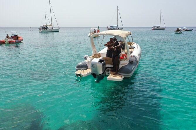 guided-boat-excursion-sella-del-diavolo-possible-sighting-of-dolphins
