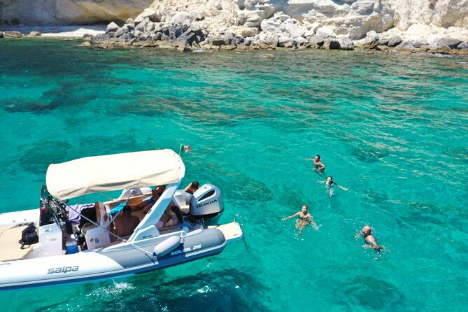 guided-boat-excursion-sella-del-diavolo-possible-sighting-of-dolphins