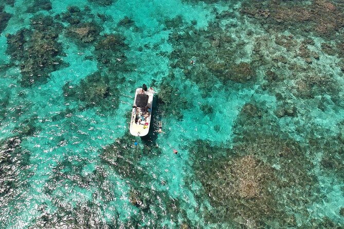 guided-boat-tour-mangrove-islets-snorkeling-planter