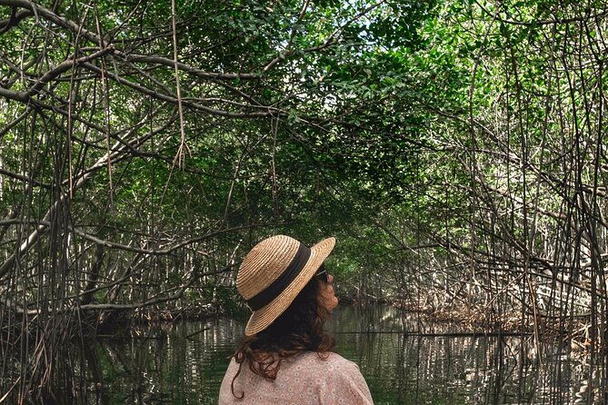 guided-boat-tour-mangrove-islets-snorkeling-planter