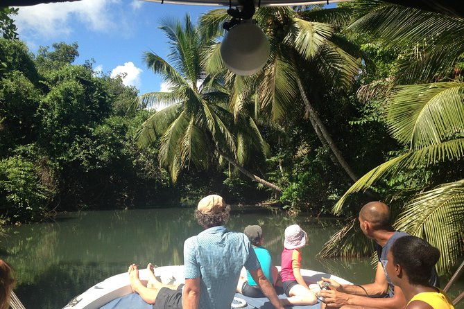 guided-boat-tour-mangrove-islets-snorkeling-planter