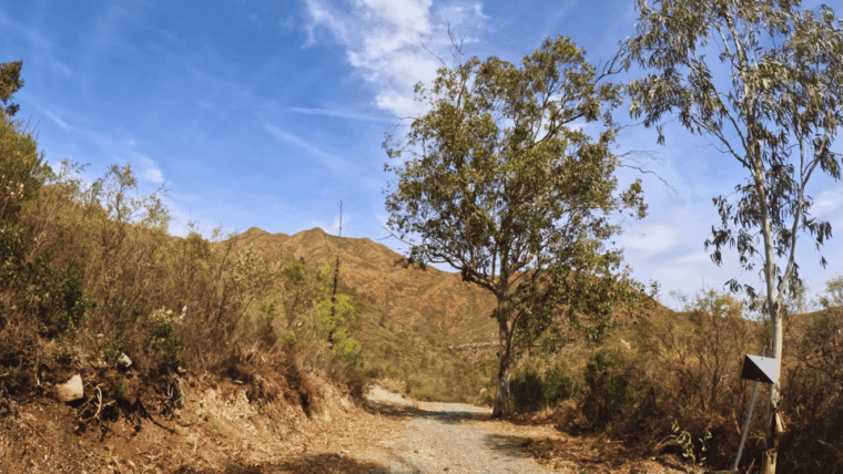 guided-buggy-tour-mijas