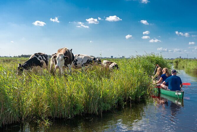 Guided Canoe Adventure with Picnic Lunch in Waterland from Amsterdam - Waterland Canoe Adventure from Amsterdam: An Authentic Dutch Experience