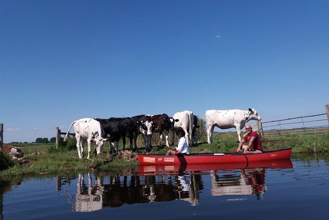 Guided Canoe Adventure with Picnic Lunch in Waterland from Amsterdam - Final Thoughts