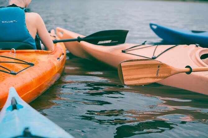 Guided Canoeing in Negombo - What You Can Expect from Guided Canoeing in Negombo