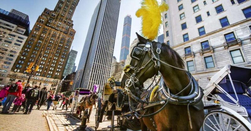 guided-central-park-and-nyc-horse-carriage-ride
