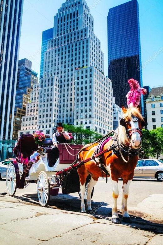 guided-central-park-and-nyc-horse-carriage-ride