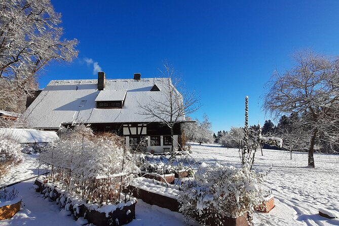 guided-cider-tasting