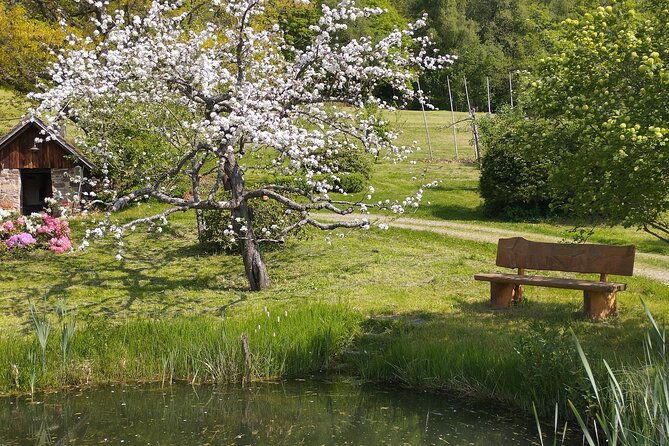 guided-cider-tasting