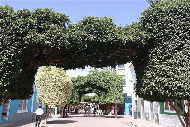 Guided City tour Praia with Cidade Velha (World Heritage) - The Sum Up: Who Will Love This Tour?