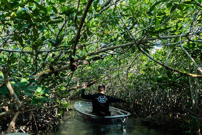 guided-clear-kayak-eco-tour-near-key-west