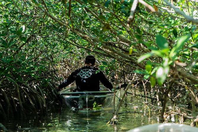 guided-clear-kayak-eco-tour-near-key-west