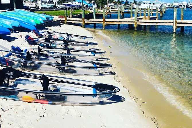 guided-clear-kayak-eco-tour-of-jupiter