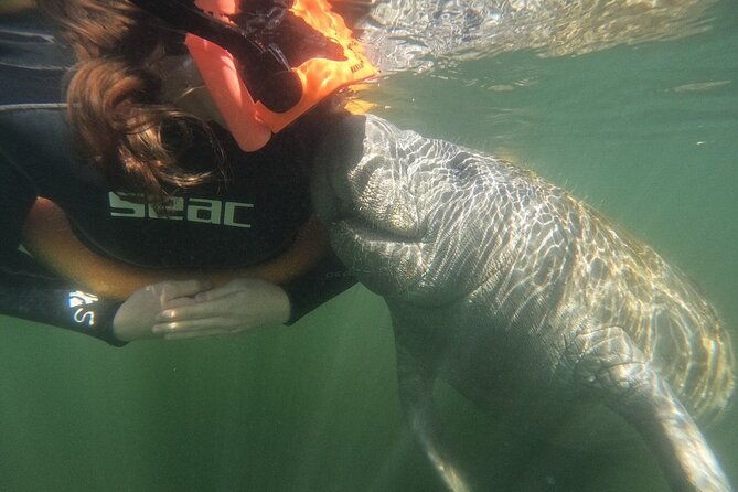 guided-crystal-river-manatee-snorkeling-tour-2