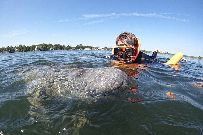 guided-crystal-river-manatee-snorkeling-tour-2