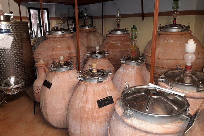 guided-cycle-tourism-wine-tour-by-e-bike-on-the-island-of-elba-arrighi