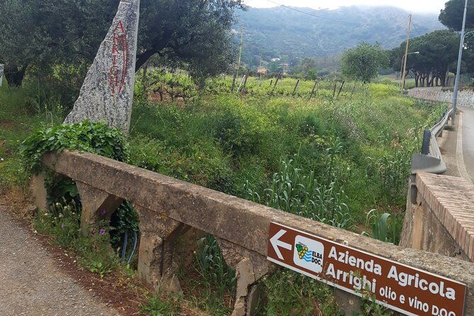 guided-cycle-tourism-wine-tour-by-e-bike-on-the-island-of-elba-arrighi