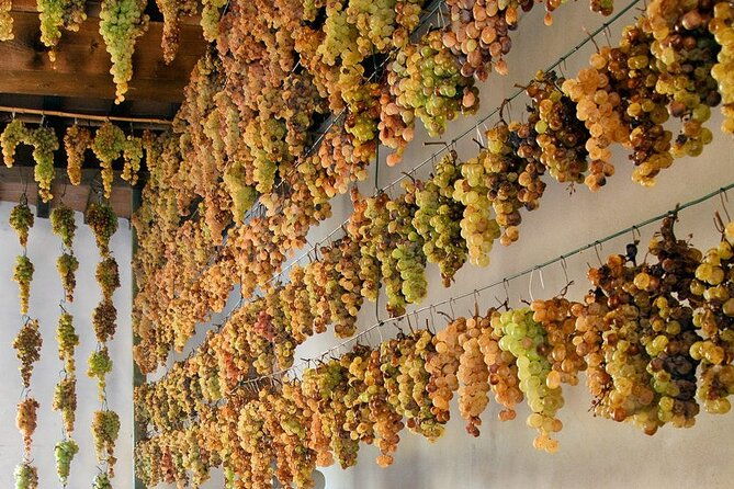 guided-cycle-tourism-wine-tour-by-e-bike-on-the-island-of-elba-arrighi