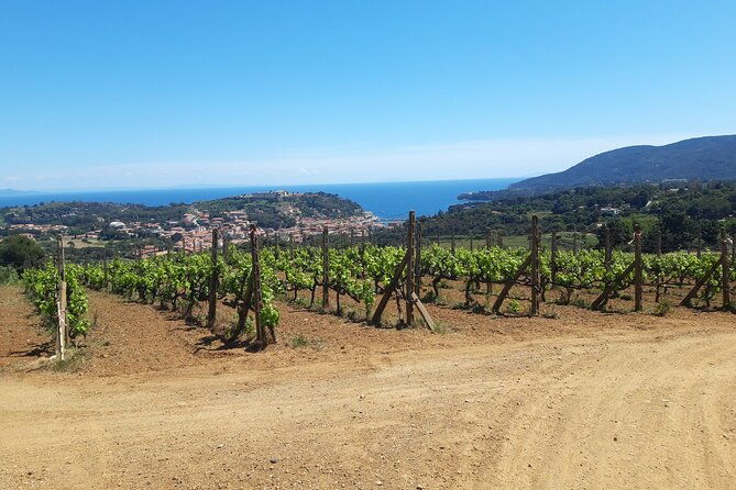 guided-cycle-tourism-wine-tour-by-e-bike-on-the-island-of-elba-arrighi