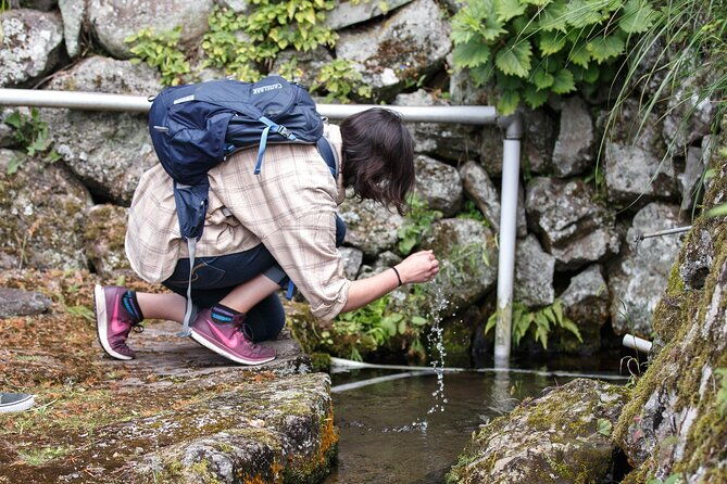 guided-cycling-tour-in-hagi-with-sake-brewery-visit