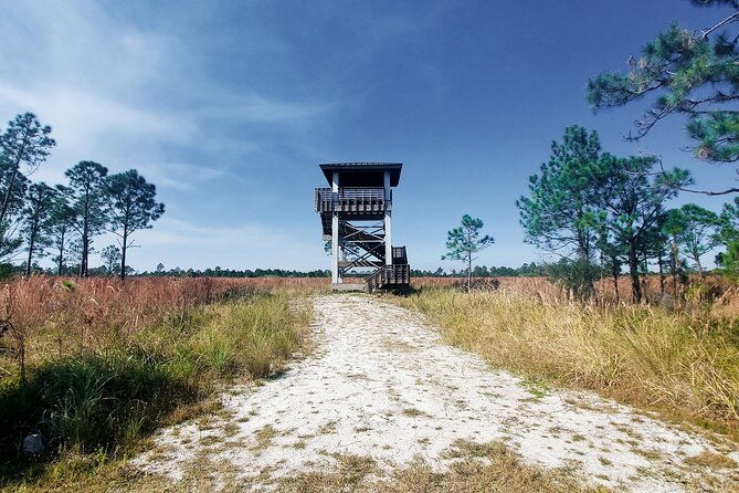 guided-day-hike-through-floridas-wild-backcountry
