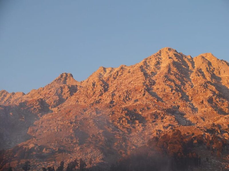 Guided Day Hike to Birni Devi Temple from Palampur - Practical Details and What to Expect