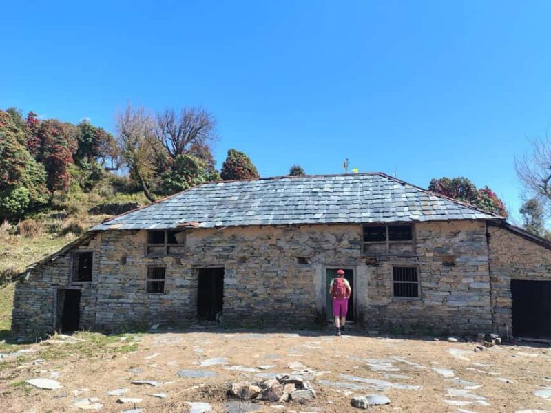 Guided Day Hike to Birni Devi Temple from Palampur - Additional Tips for Travelers