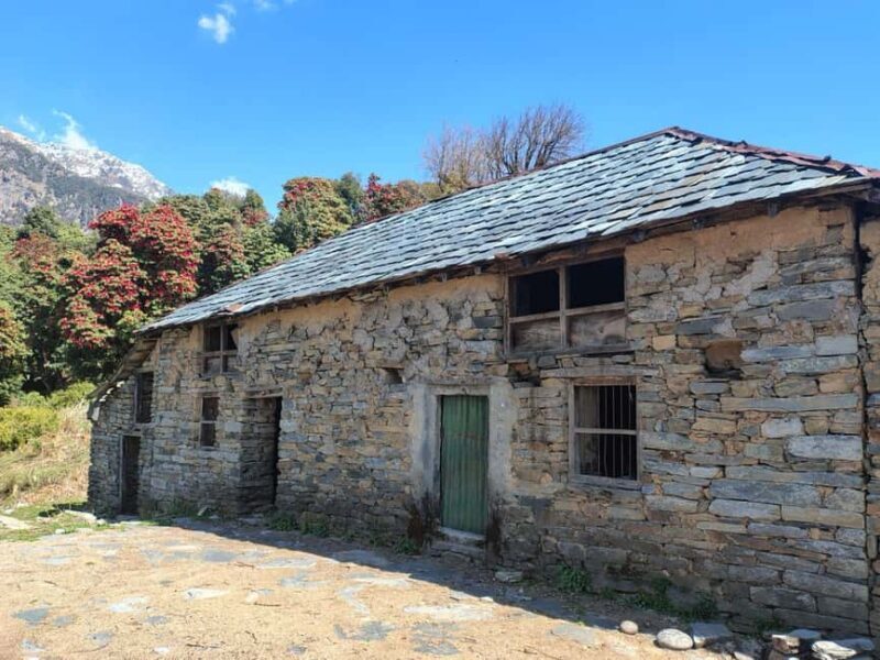 Guided Day Hike to Birni Devi Temple from Palampur - The Sum Up