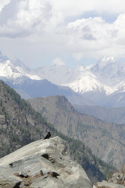 Guided Day Hike to Guna Devi Temple from Mcleodganj - Final Thoughts