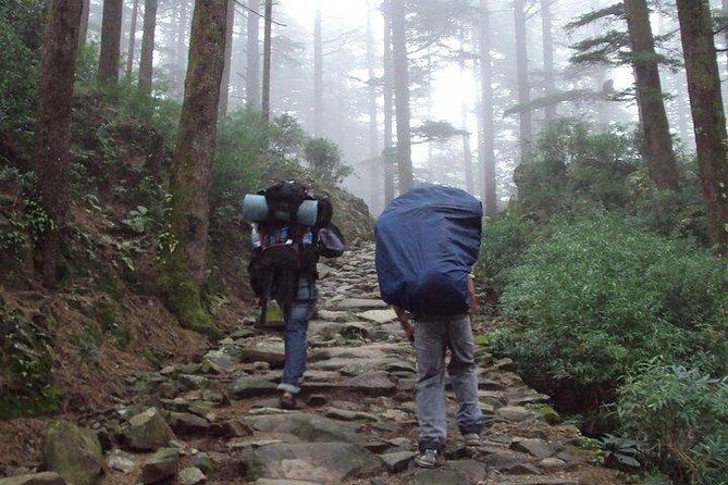 Guided Day Hike to Guna Devi Temple from Mcleodganj - The Itinerary in Detail