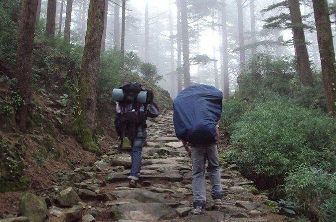 Guided Day Hike to Guna Devi Temple from Mcleodganj - Why This Tour Works for Different Types of Travelers