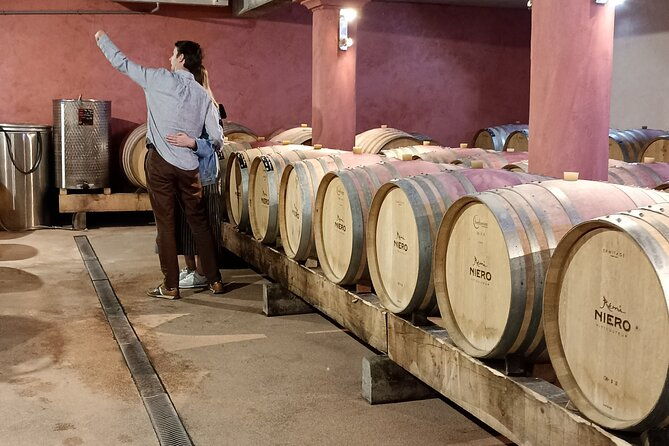 guided-day-tour-and-wine-tasting-northern-rhone-valley