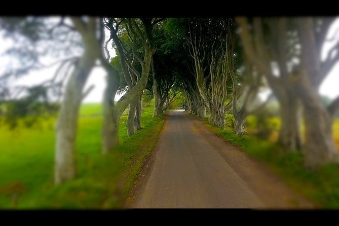 guided-day-tour-of-giants-causeway-from-belfast-by-comfortable-coach