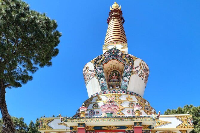 Guided Day Tour to Bir  Monasteries,Temple & Tea Garden Visit - Final Thoughts