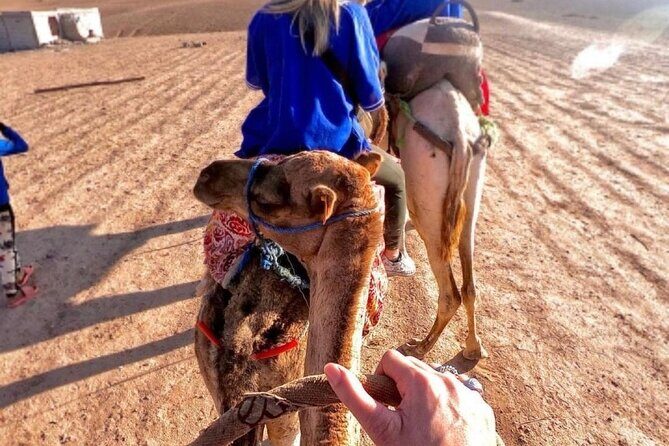 guided day trip three valley's and camel ride tour with lunch - The Sum Up