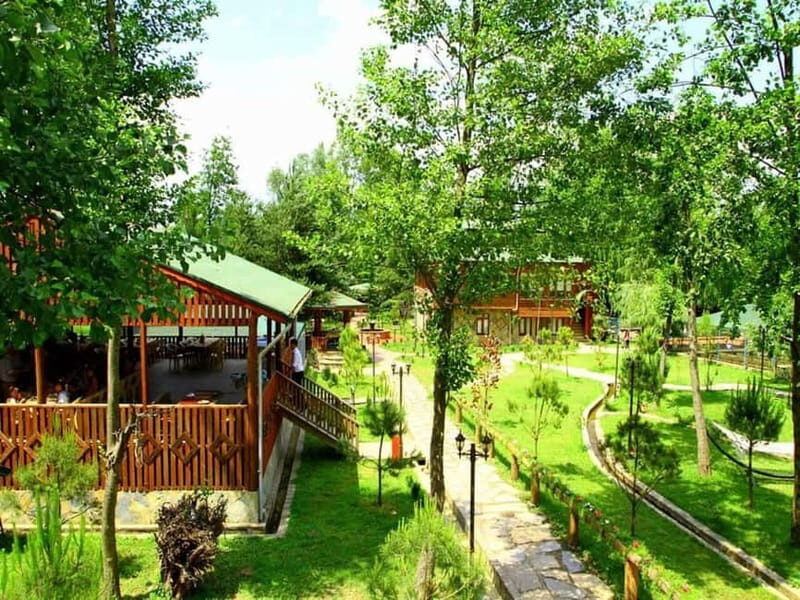 Guided Day Trip to Sapanca and Masukiye From Istanbul - Key Points