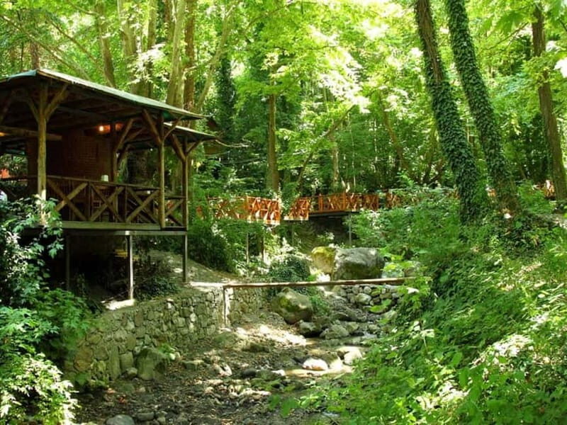 Guided Day Trip to Sapanca and Masukiye From Istanbul - FAQ