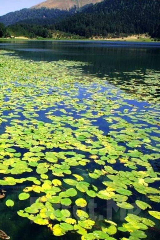 guided-day-trip-to-sapanca-and-masukiye-from-istanbul