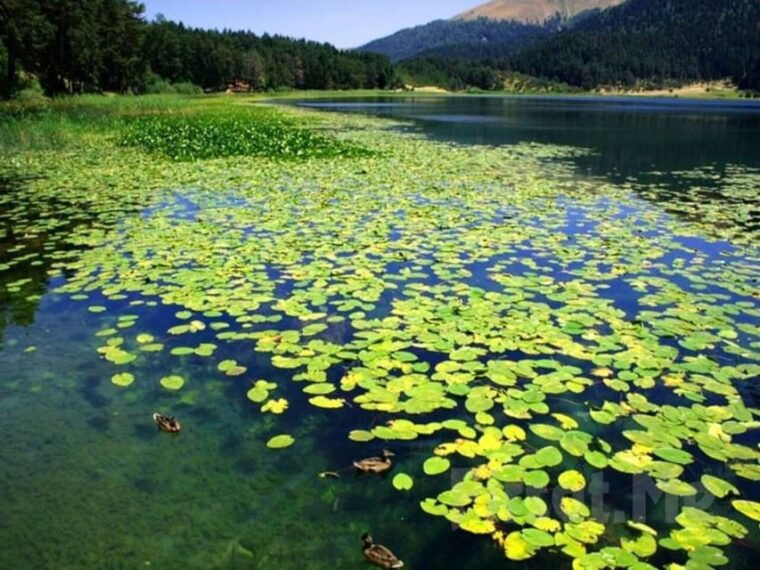 guided-day-trip-to-sapanca-and-masukiye-from-istanbul
