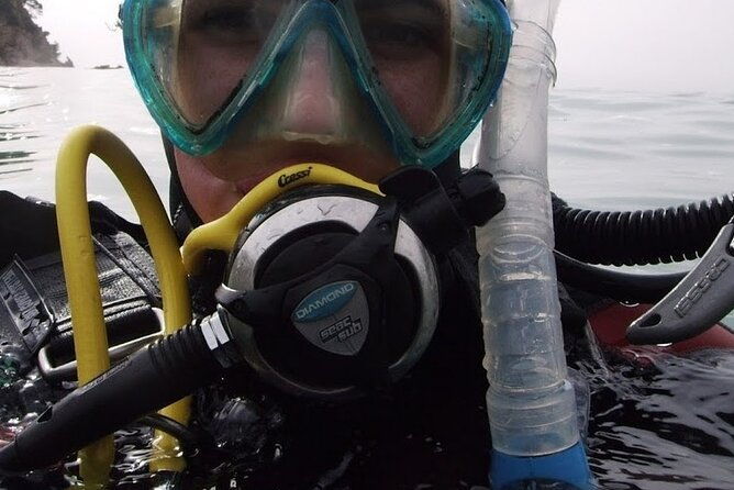 guided-dive-for-certified-divers