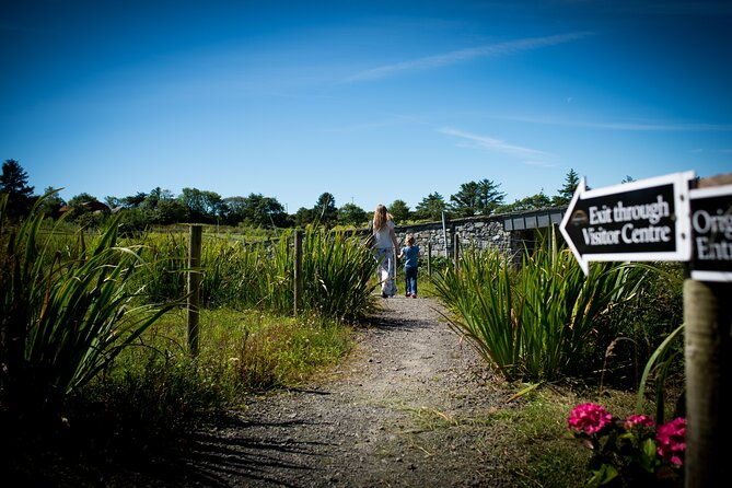 guided-doolin-cave-tour-experience-europes-largest-stalactite