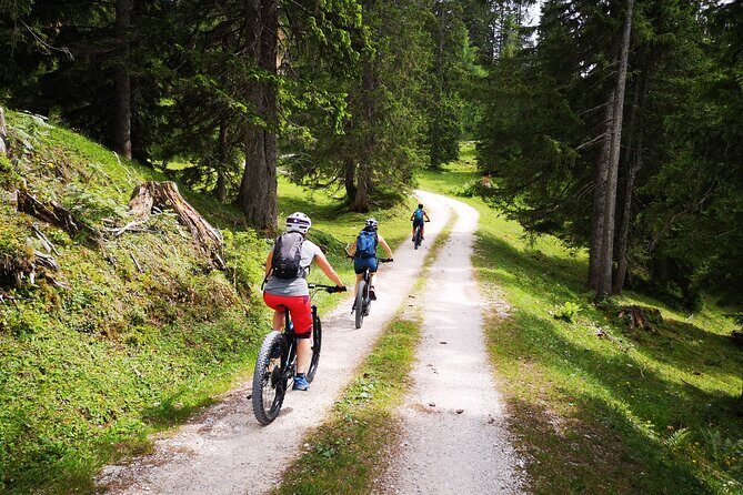 Guided e-bike tour of the alpine pastures in the Salzkammergut - The Itinerary in Detail