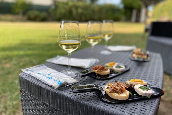 guided-e-bike-tour-with-food-and-wine-tasting