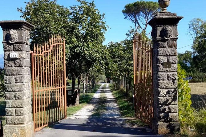 guided-e-bike-tour-with-wine-tasting-from-lucca